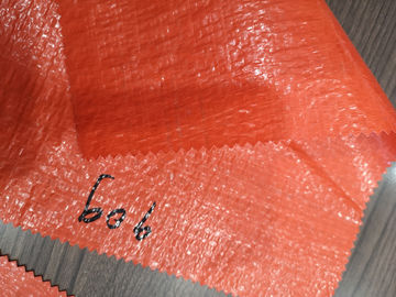 Tear Resistant PE Tarpaulin Sheet Customized Color / Size Accepted