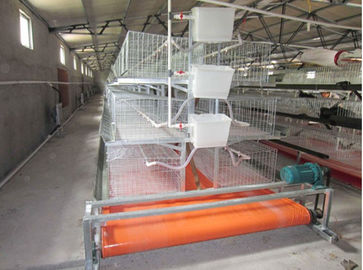 Self Cleaning Durable PVC Conveyor Belt For Chicken House 1000*1000D