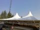 Strong Tensile 950gsm 1150gsm PVC Membrane Structure